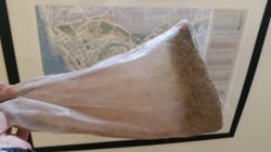 20160626-192810-3958.jpg