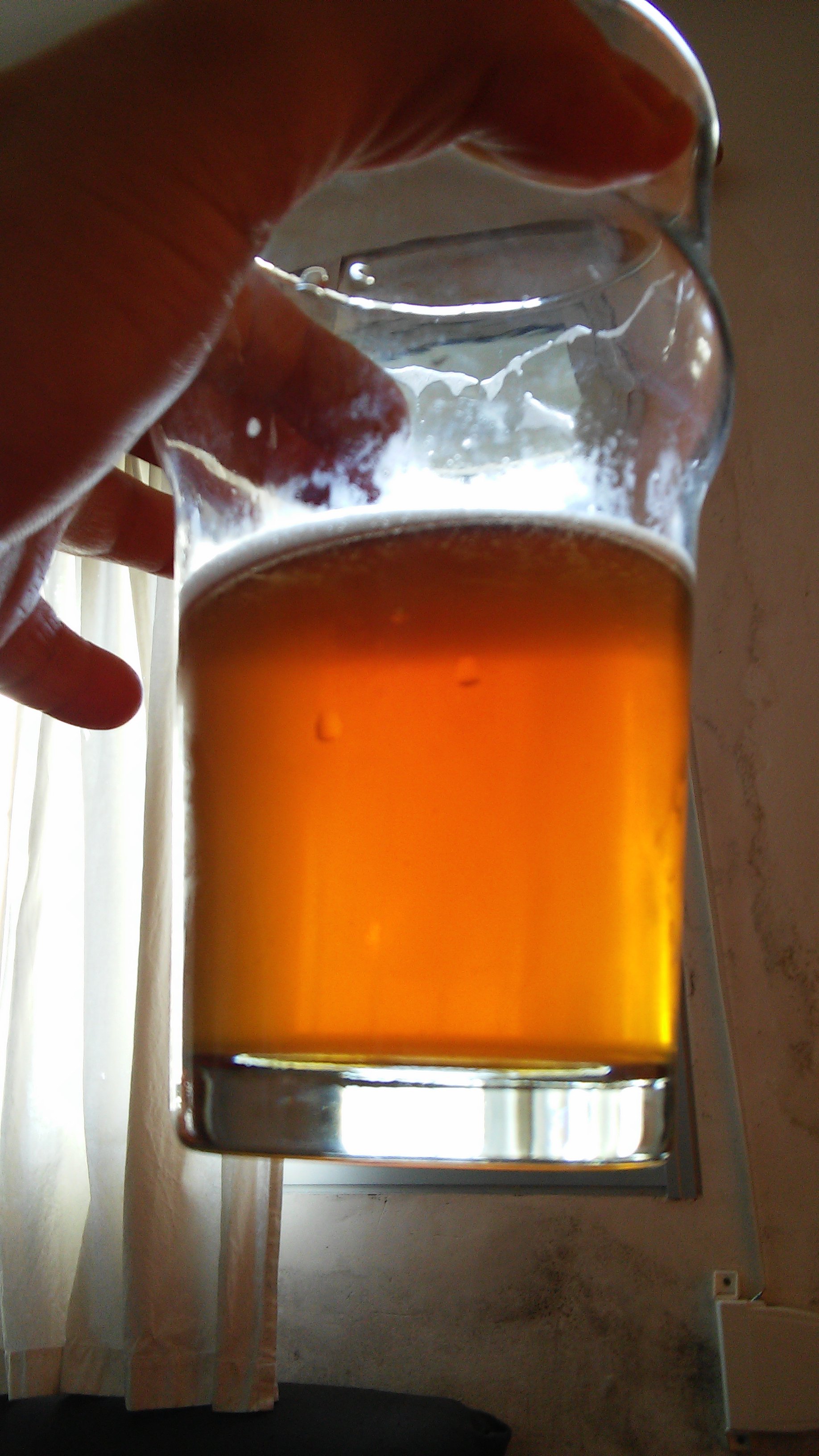 beer recipe photo