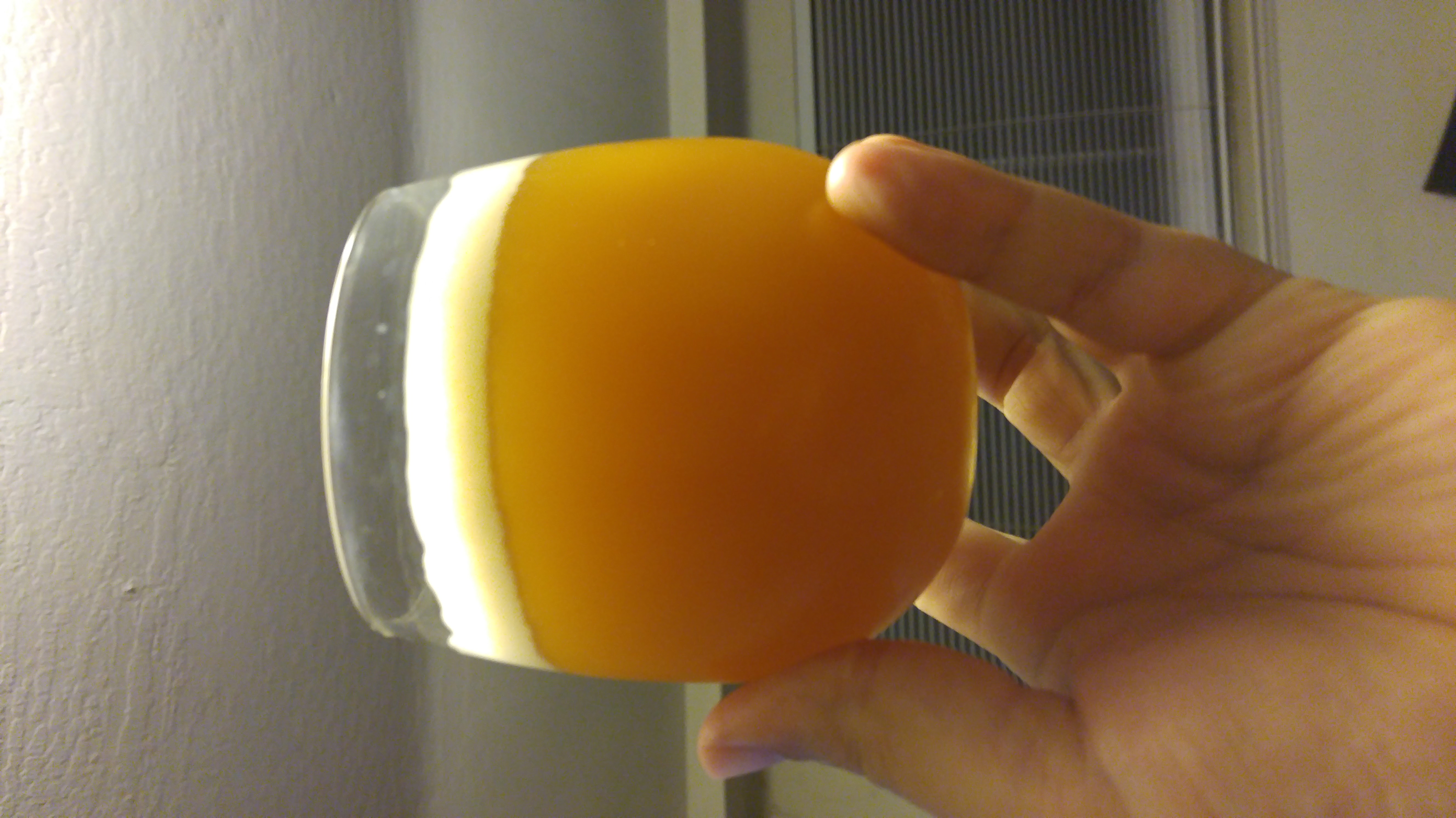 beer recipe photo