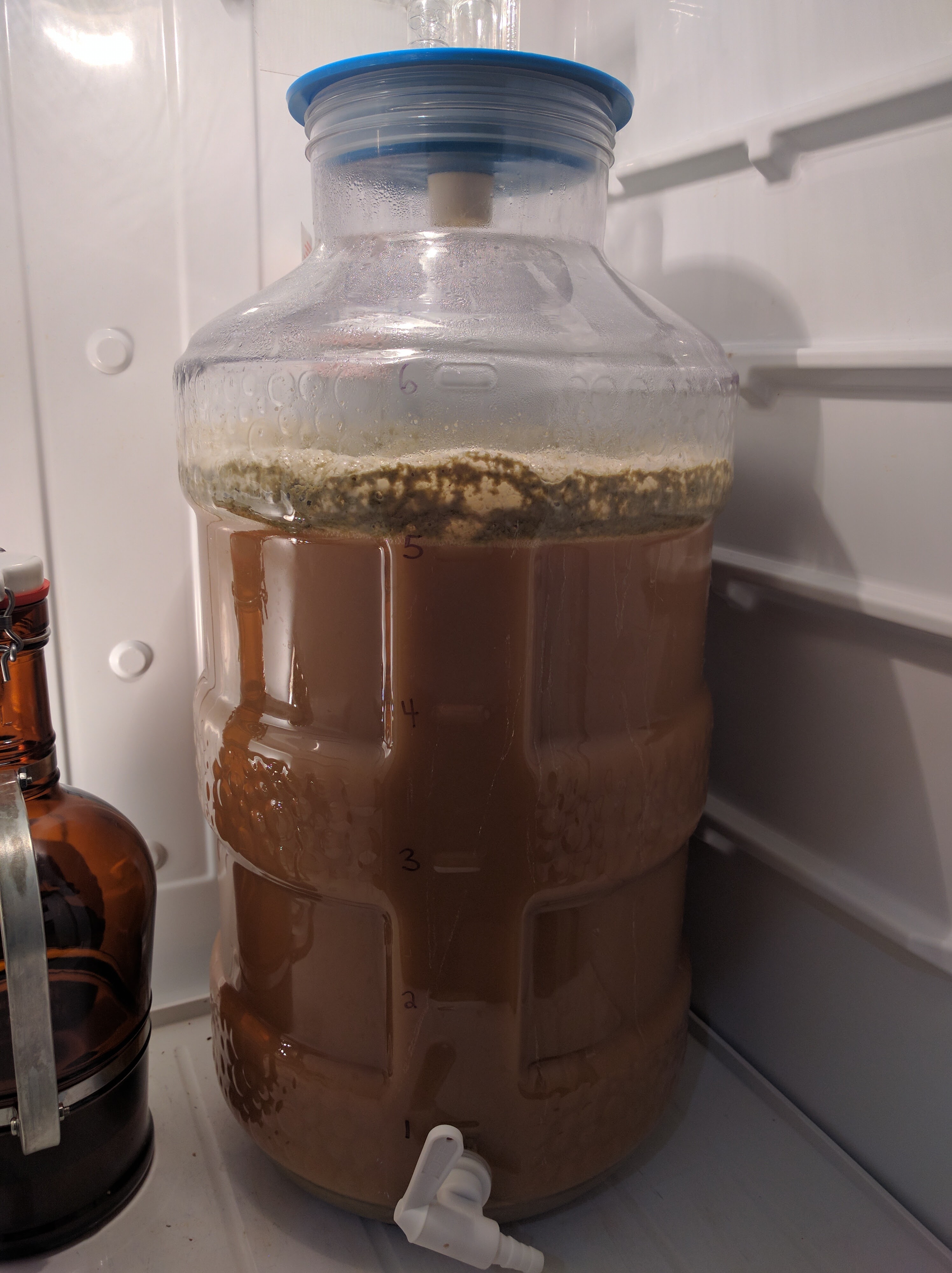 beer recipe photo