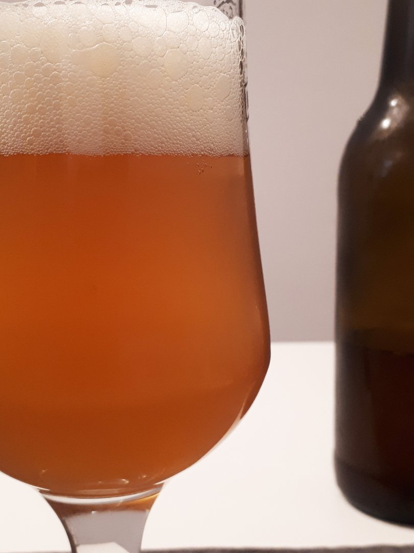 beer recipe photo