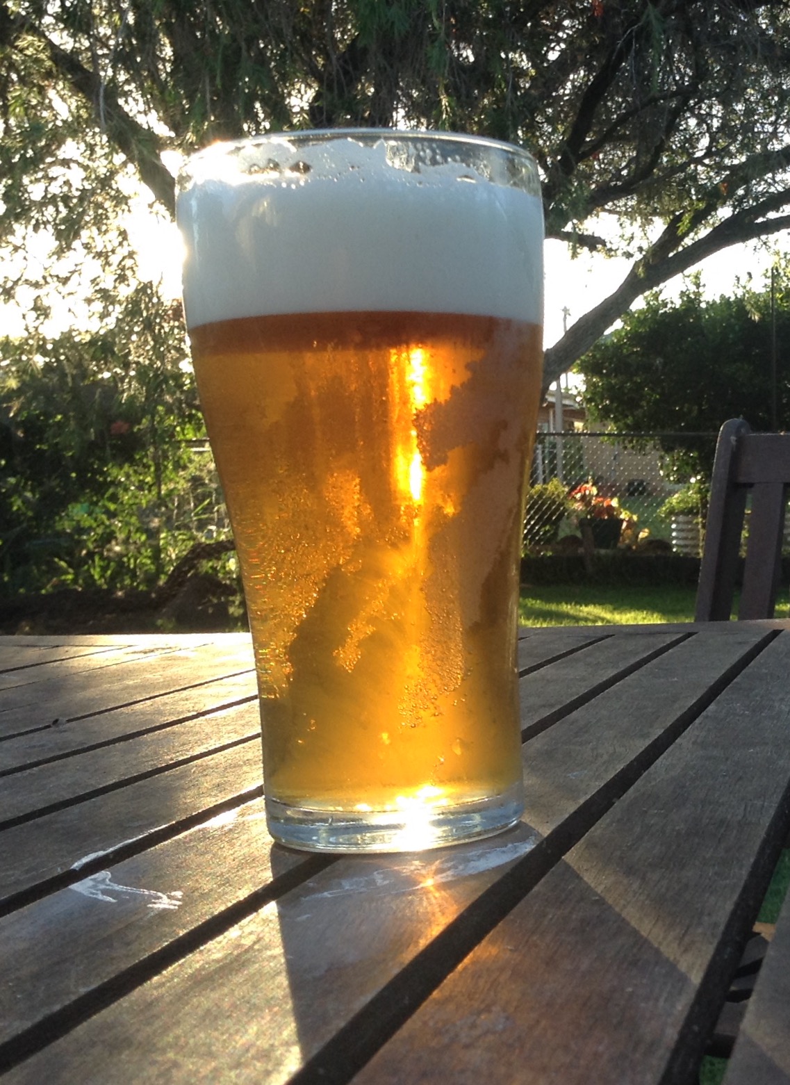 beer recipe photo