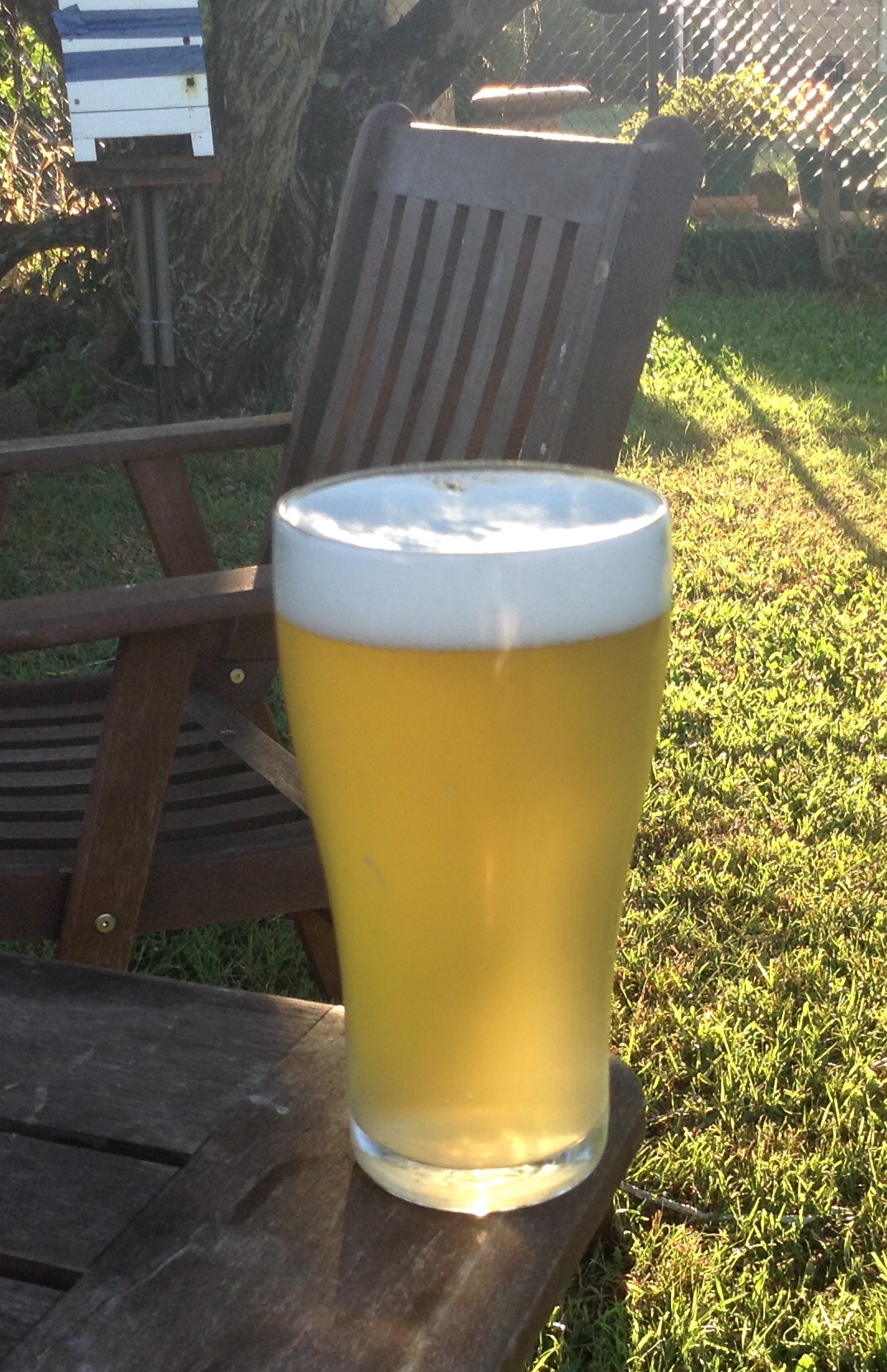 beer recipe photo