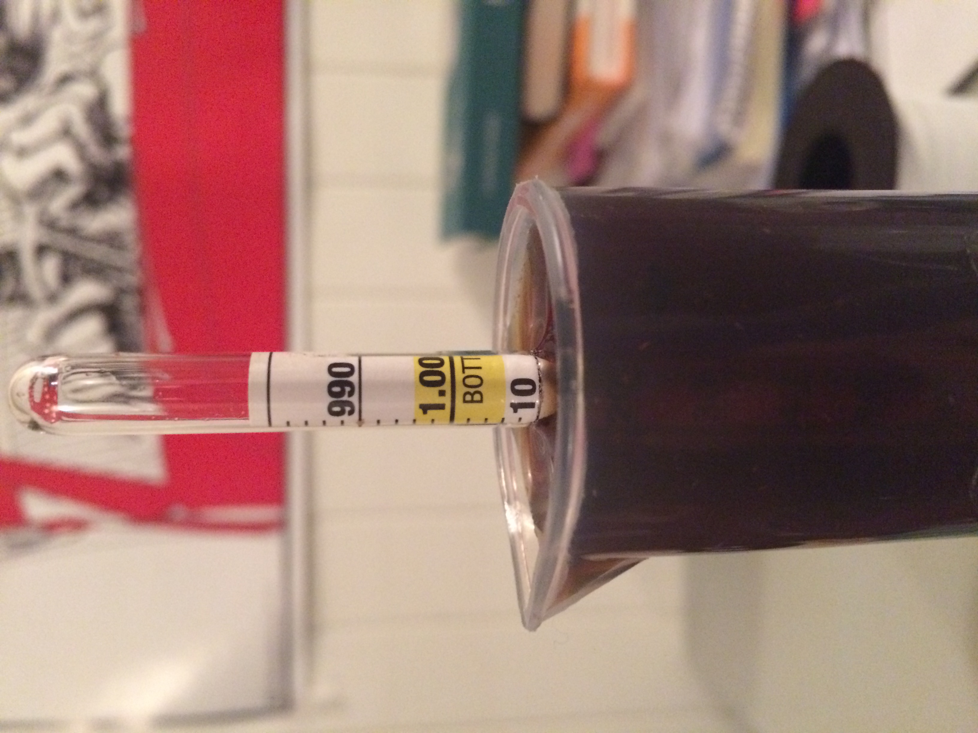 beer recipe photo