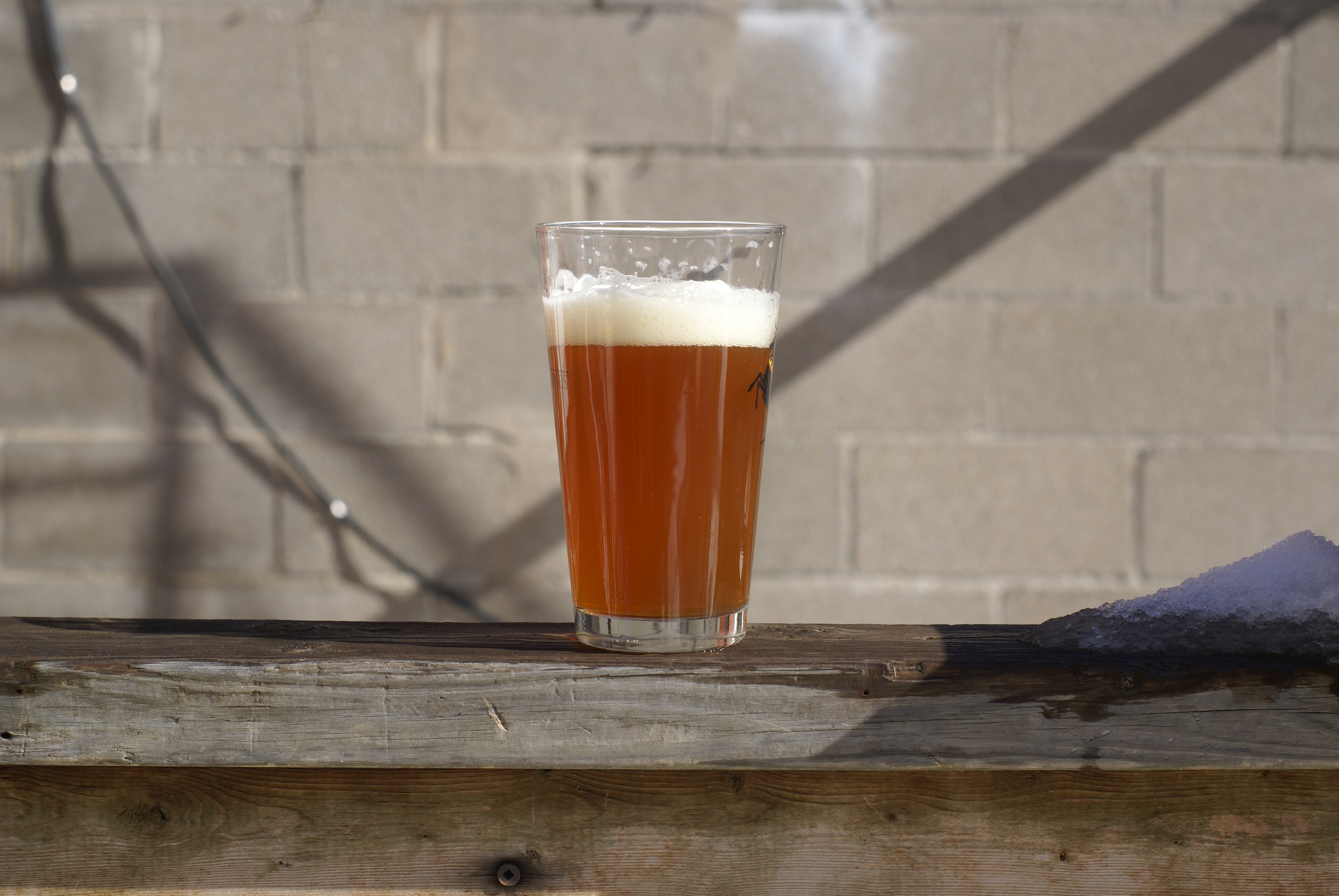 beer recipe photo