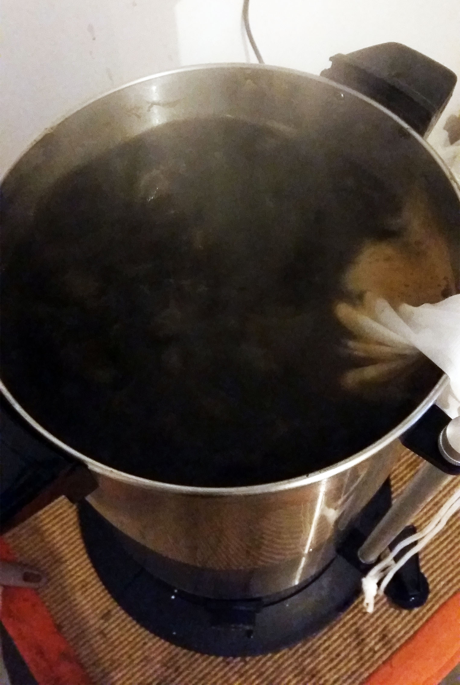 beer recipe photo