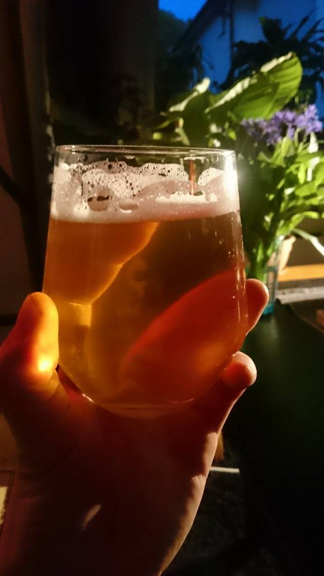 beer recipe photo