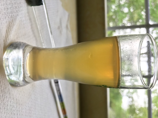 beer recipe photo