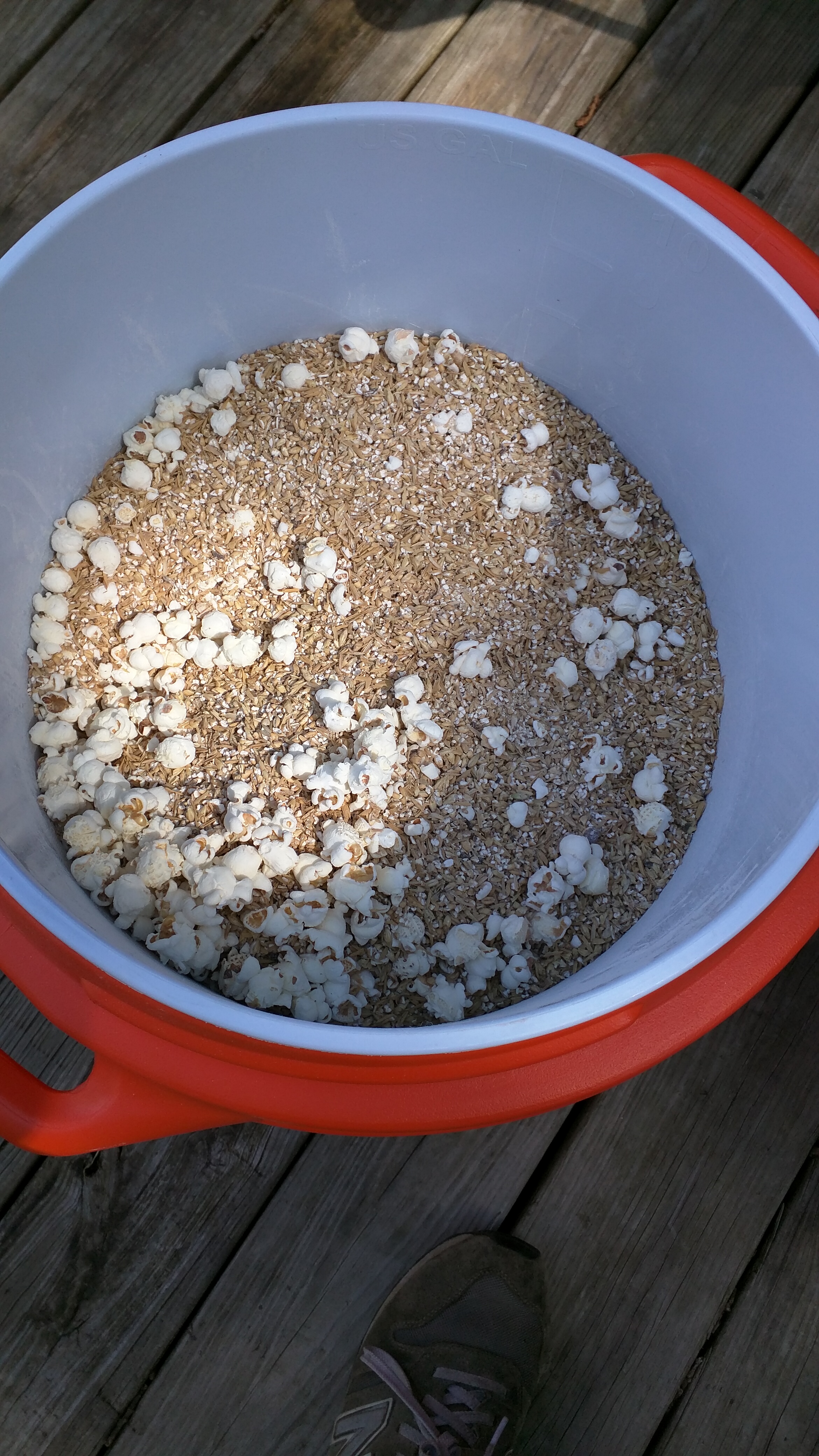 beer recipe photo