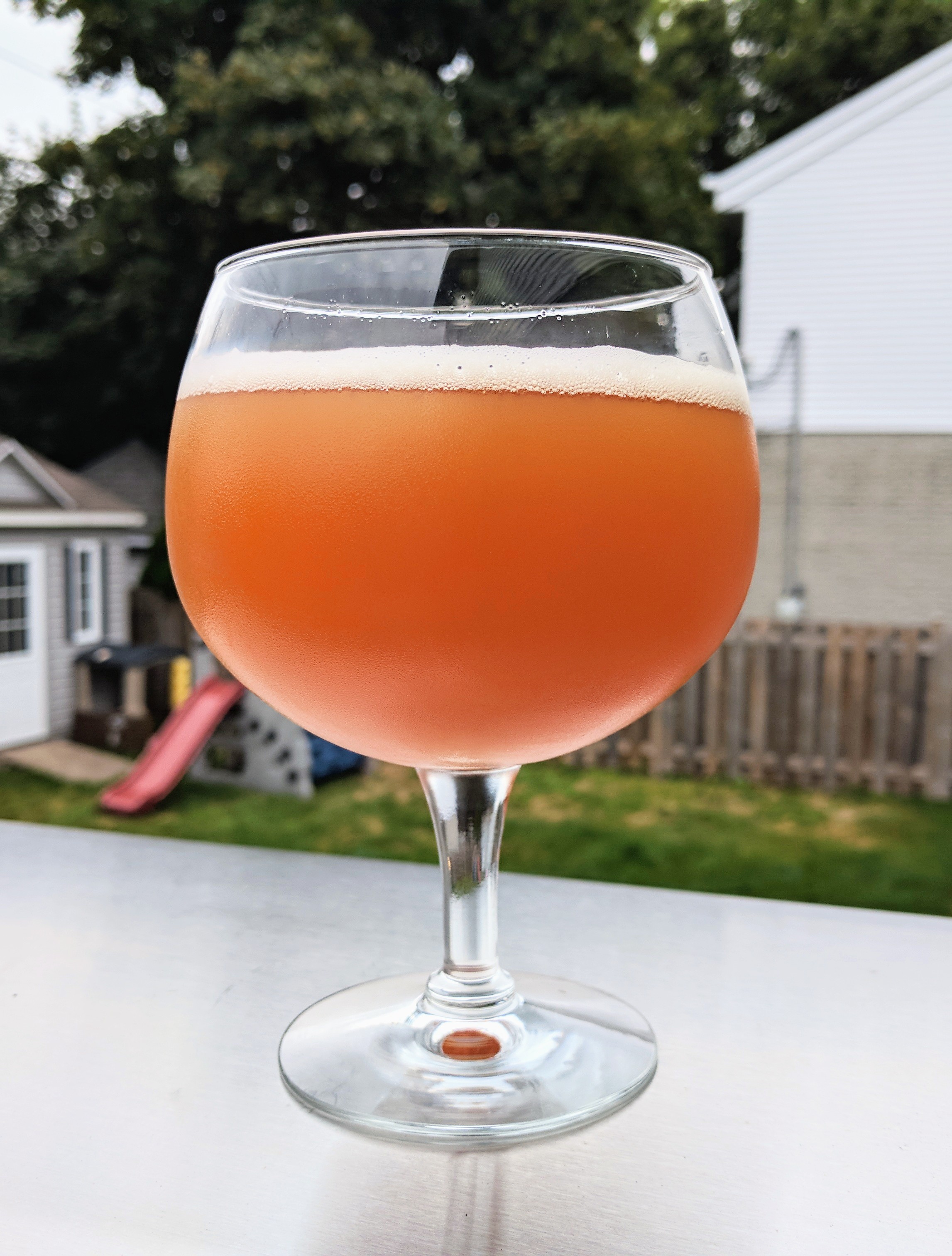 beer recipe photo