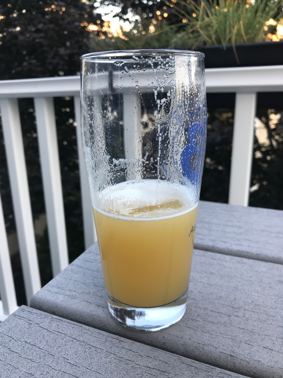 beer recipe photo