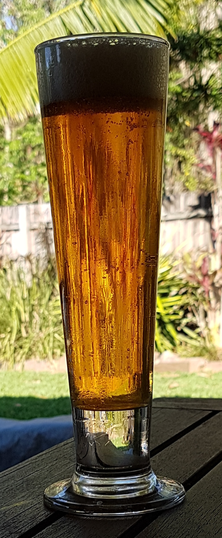 beer recipe photo