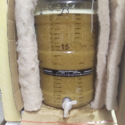 imag0769-4737.jpg
