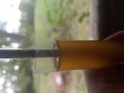20171022-163224-4857.jpg