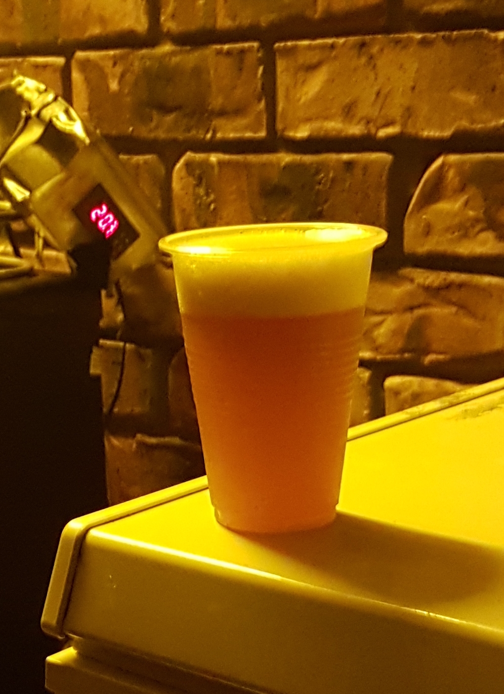 beer recipe photo