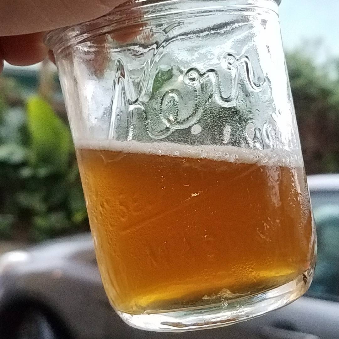 beer recipe photo