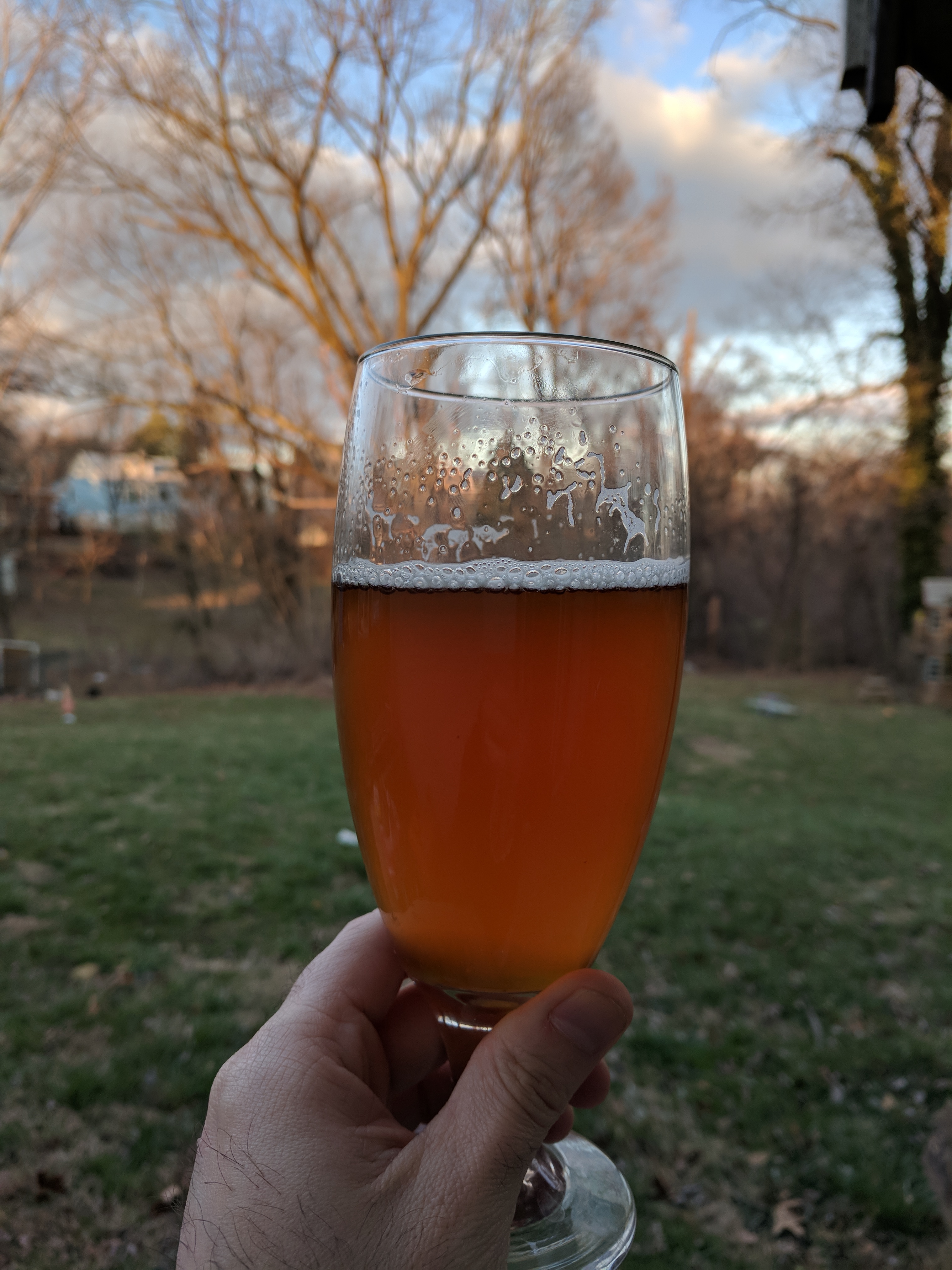 beer recipe photo