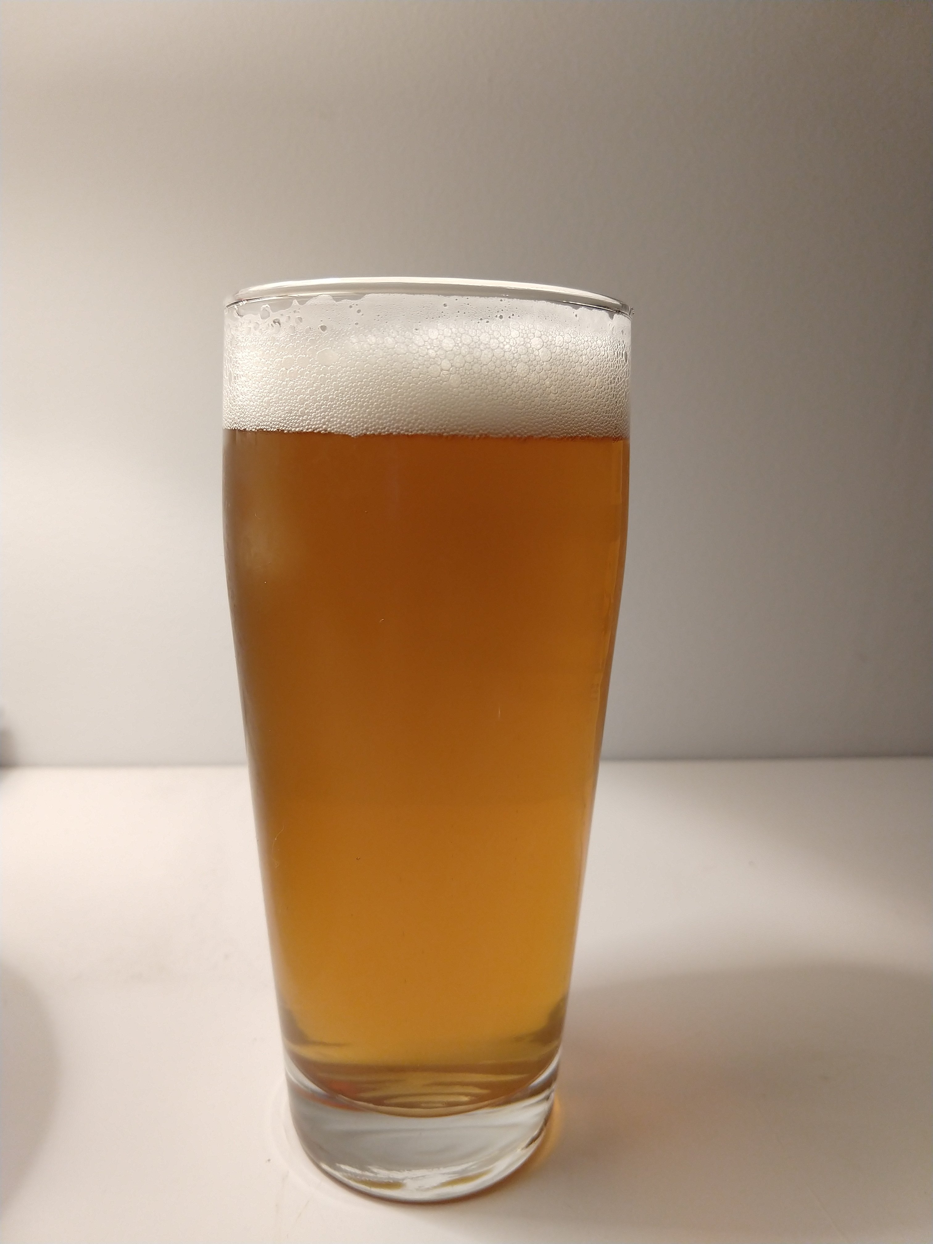 beer recipe photo
