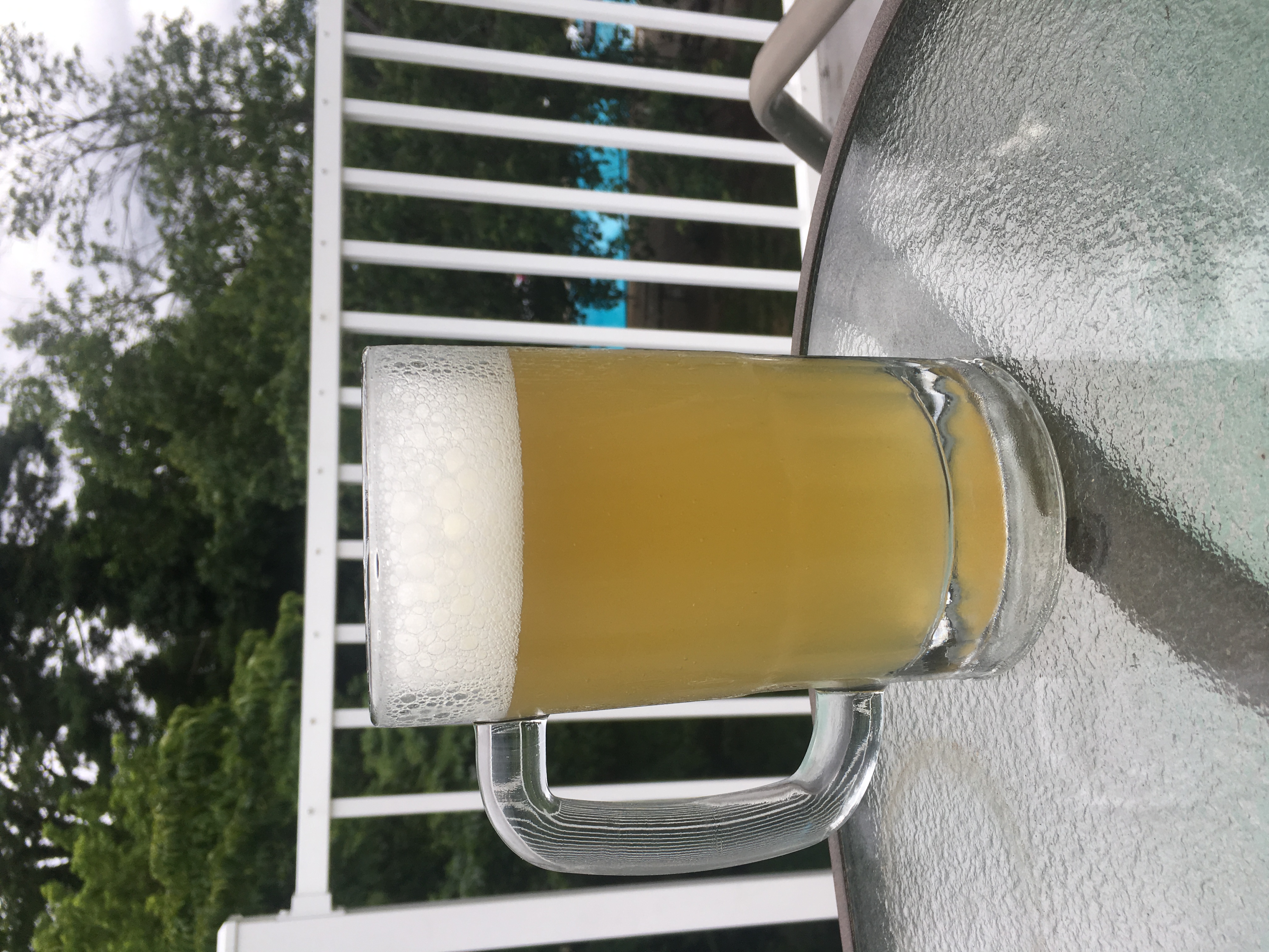 beer recipe photo