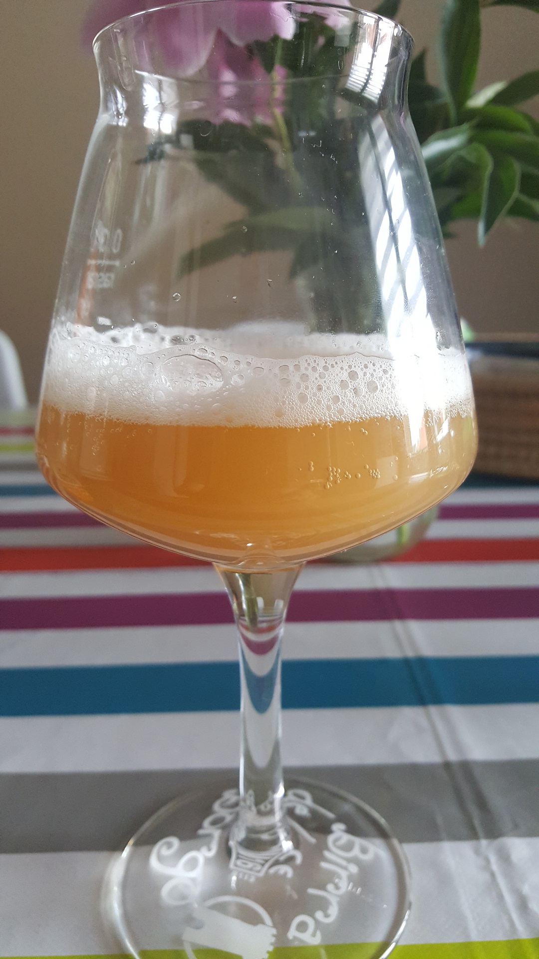 beer recipe photo