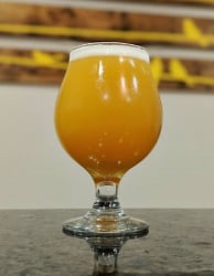 neipa-denali-citra-vic-secret-6337.jpg