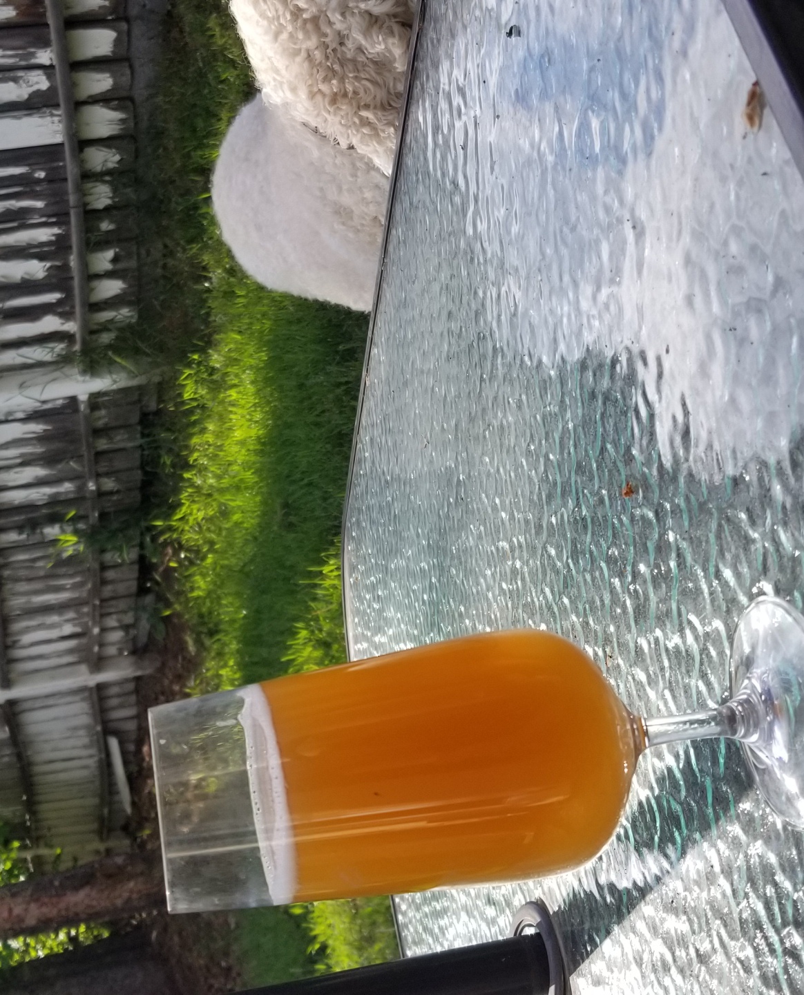 beer recipe photo