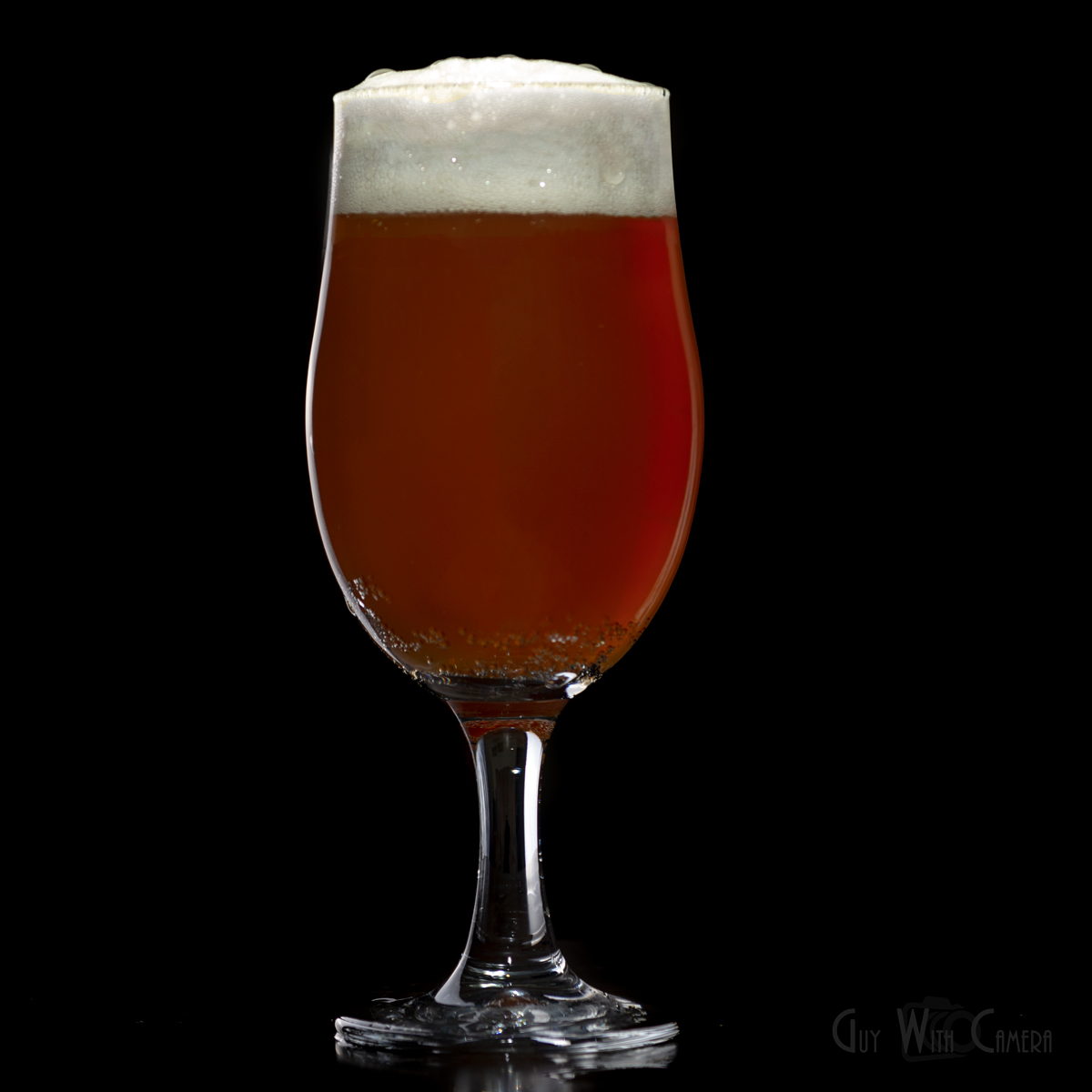 beer recipe photo