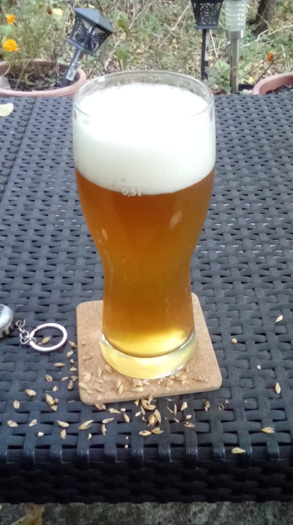 beer recipe photo