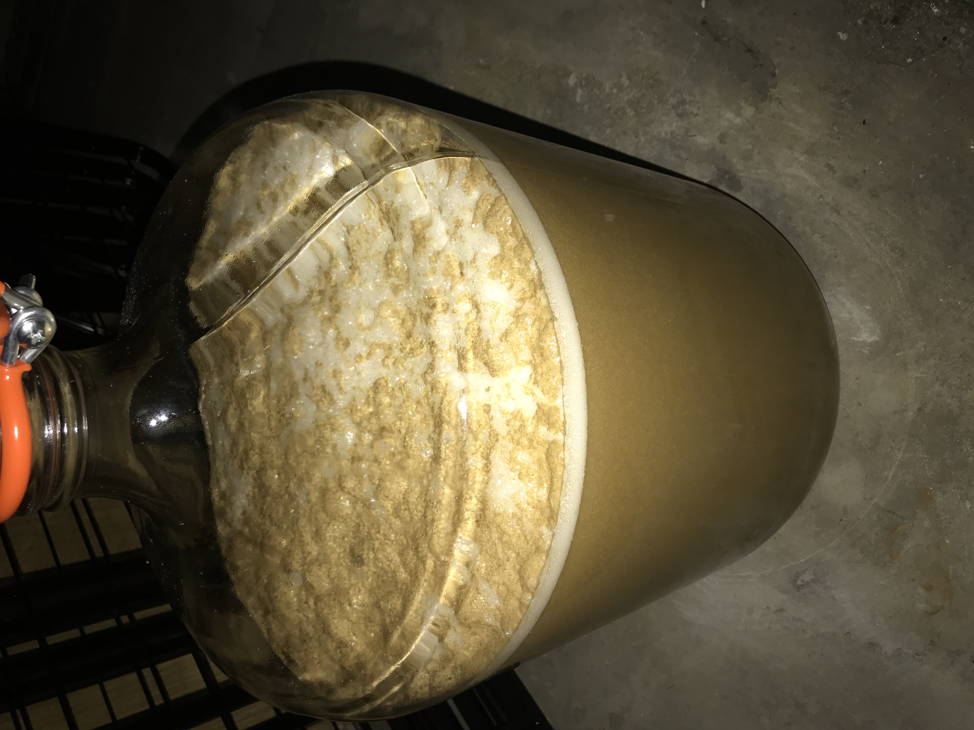 beer recipe photo