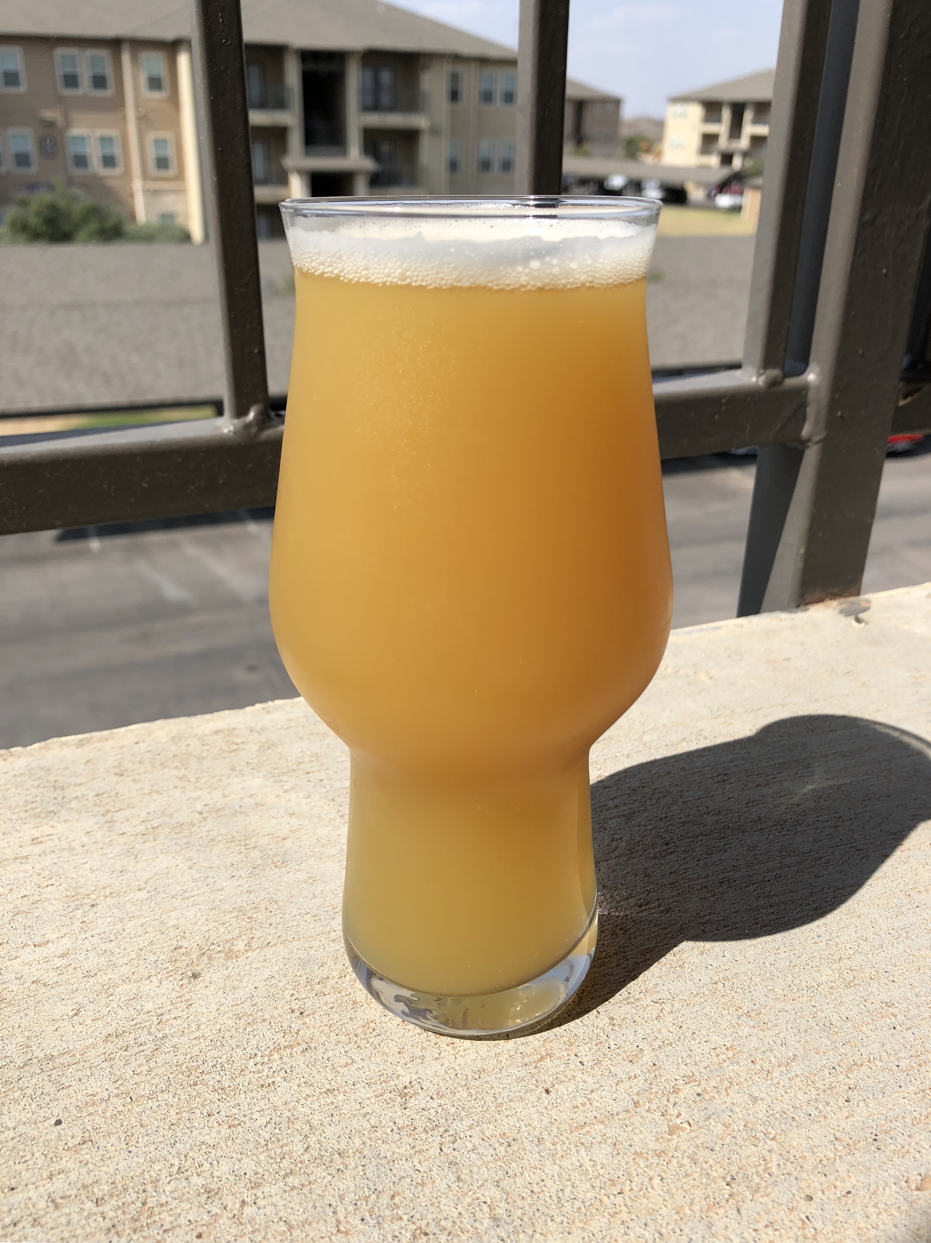beer recipe photo