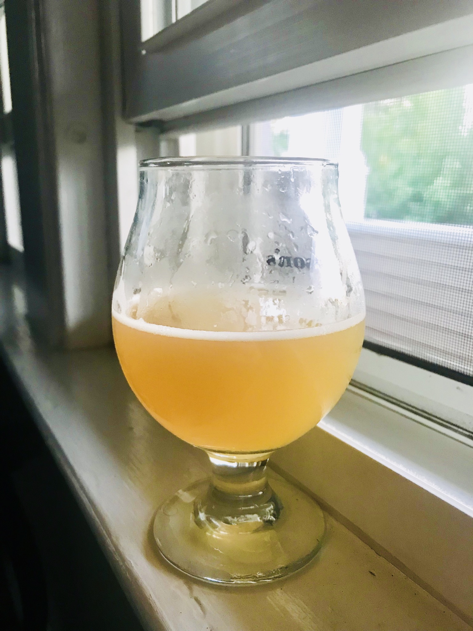 beer recipe photo