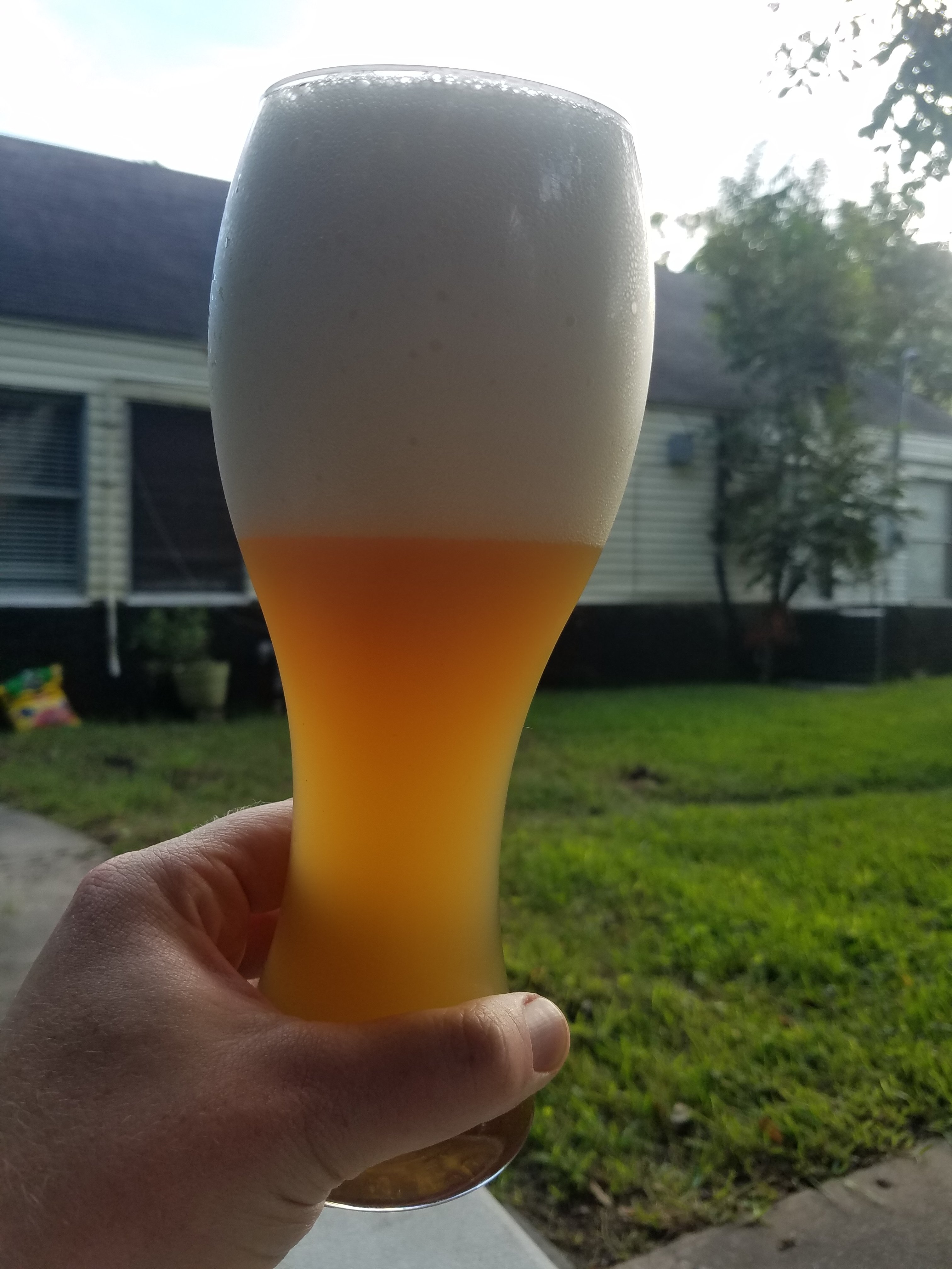 beer recipe photo