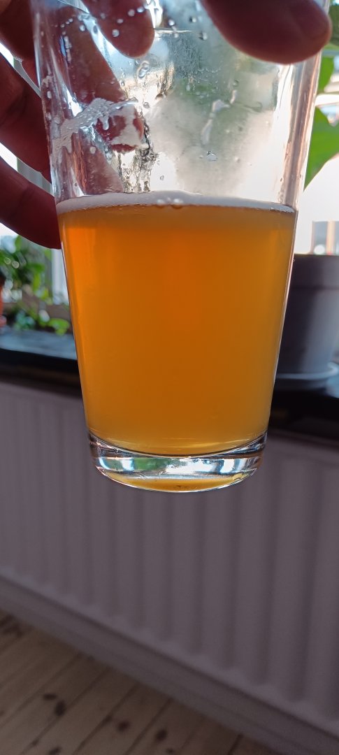 beer recipe photo