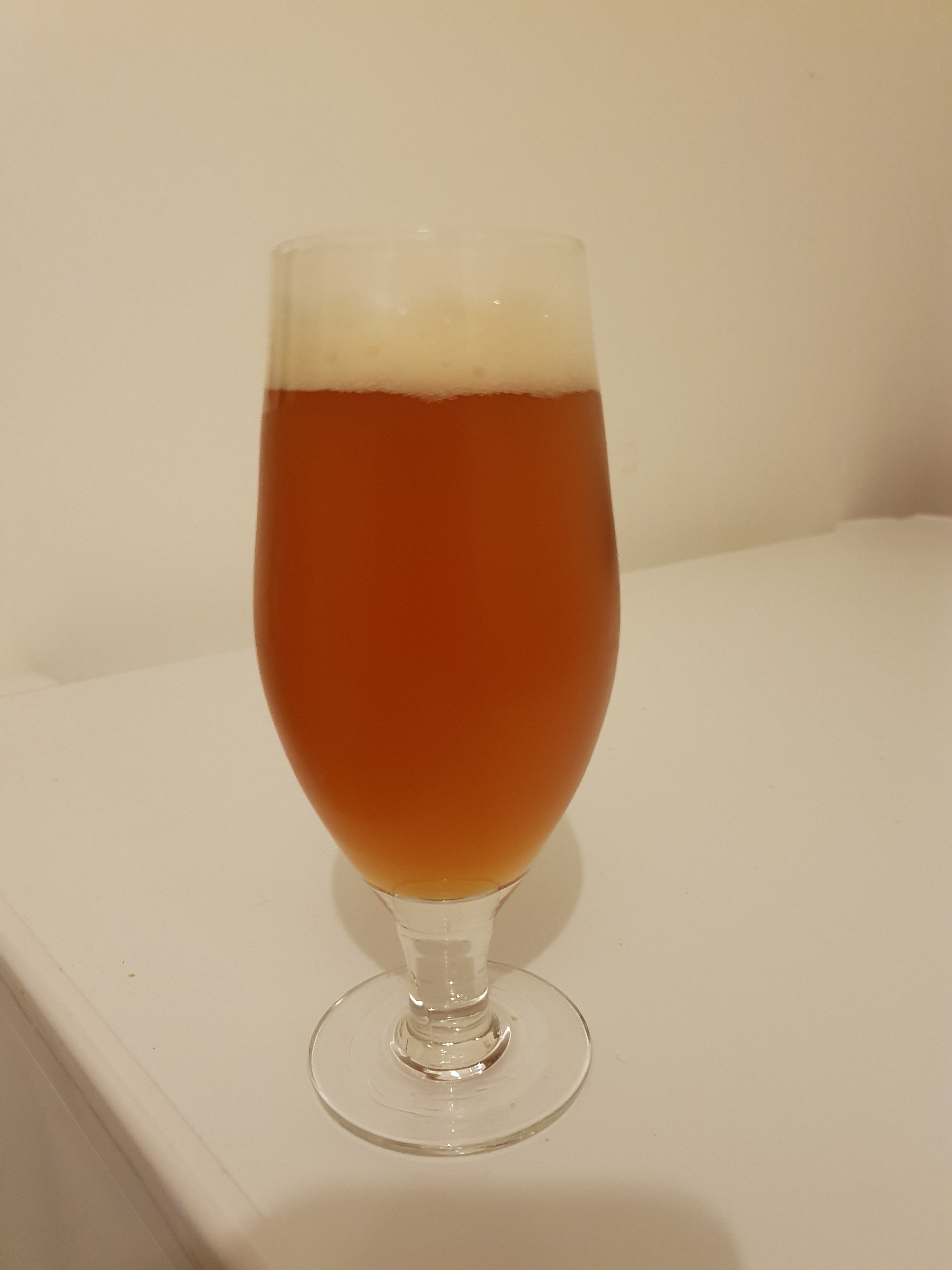 beer recipe photo