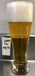 beer-germanpils-7020.jpg