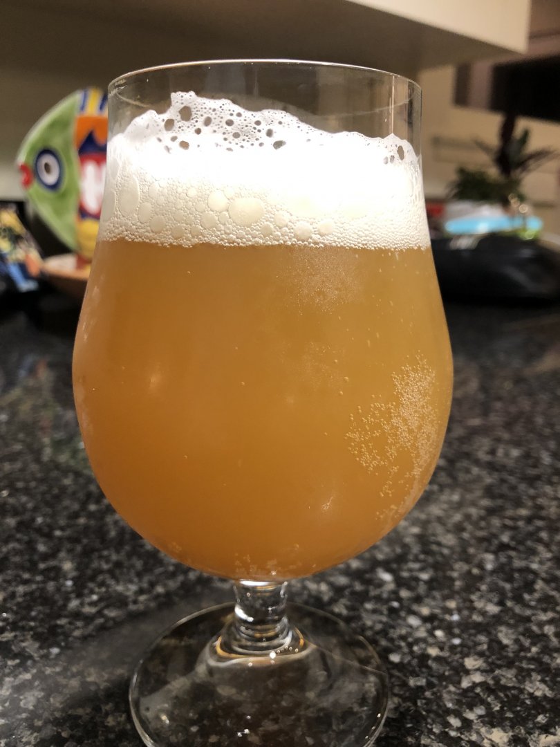 beer recipe photo