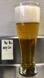 beer-prepro-7018.jpg