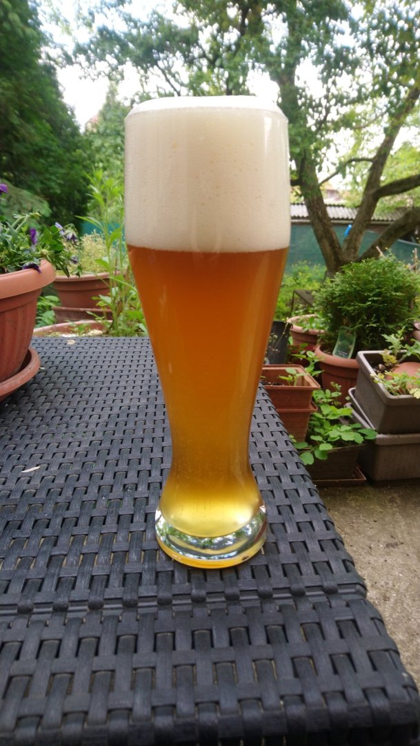 beer recipe photo