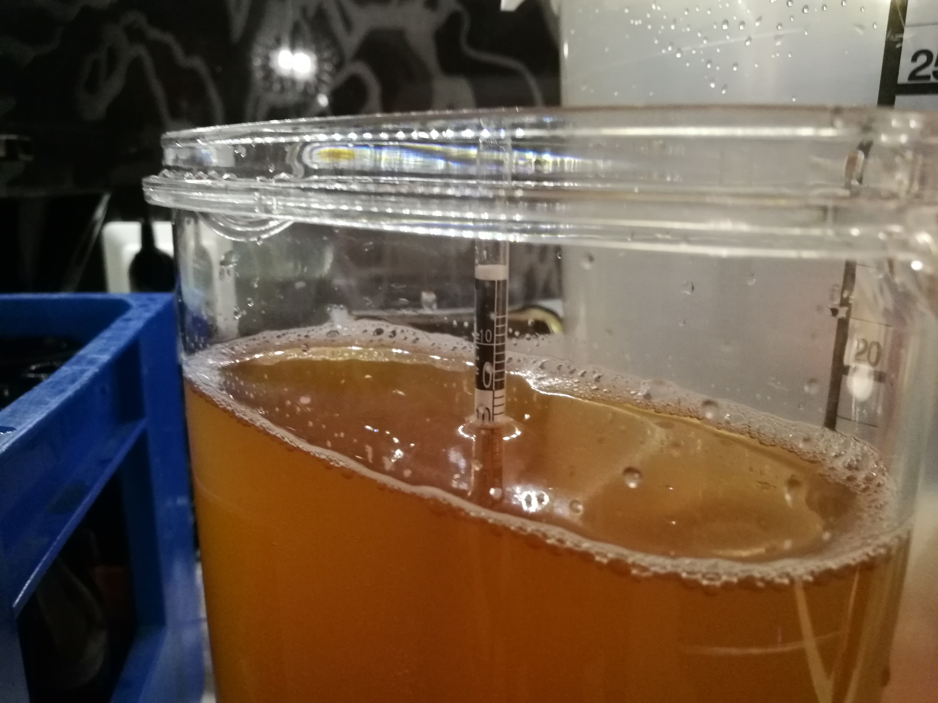 beer recipe photo