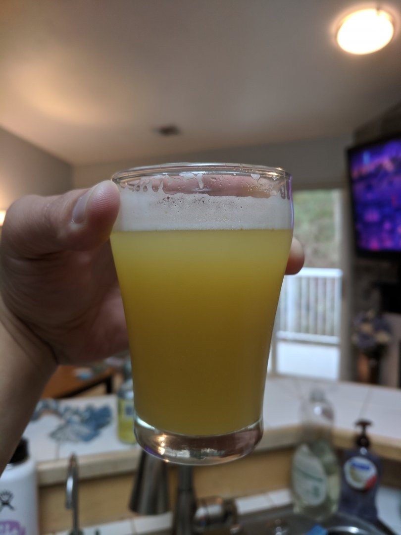 beer recipe photo