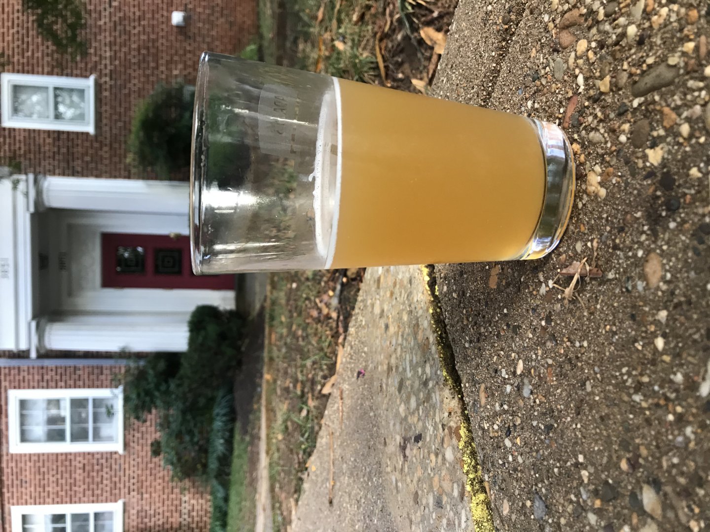 beer recipe photo