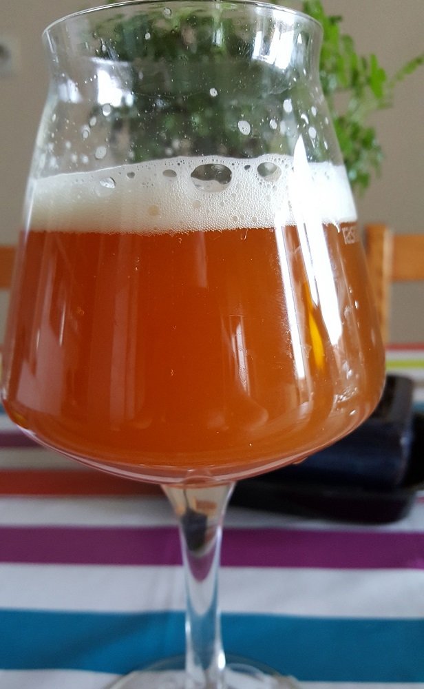 beer recipe photo