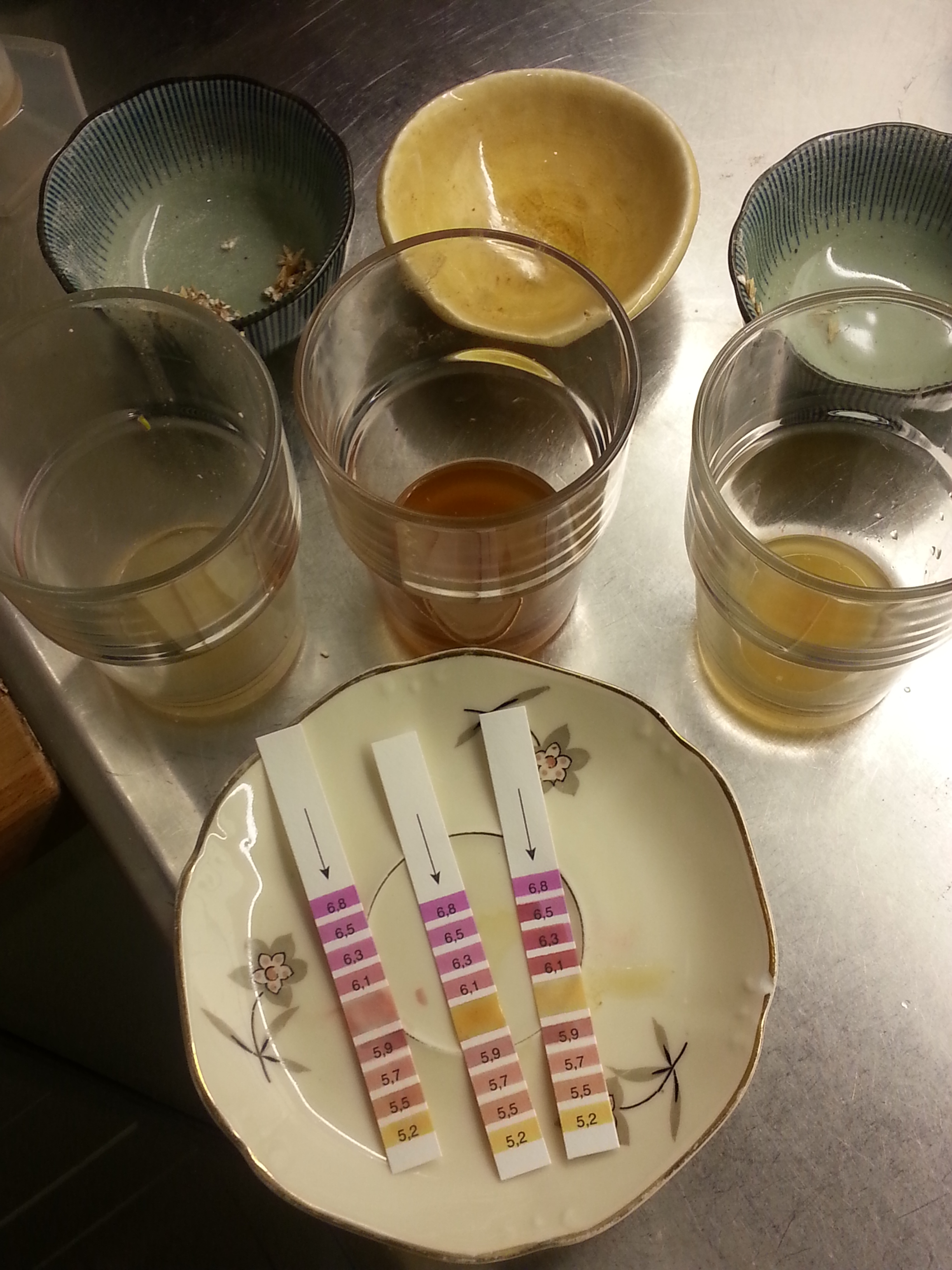 American Ale American Pale Ale (BJCP 2008) Beer Recipes Brewer's