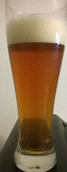 beer recipe photo