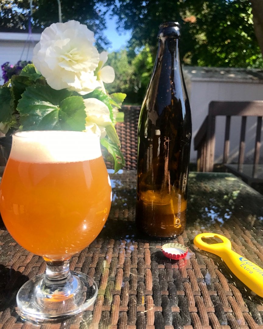 beer recipe photo