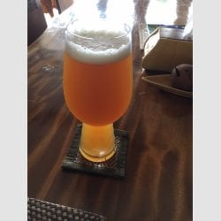 xIPA-beer-02.07.19.jpg