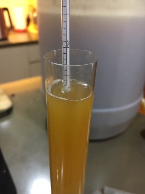 beer recipe photo