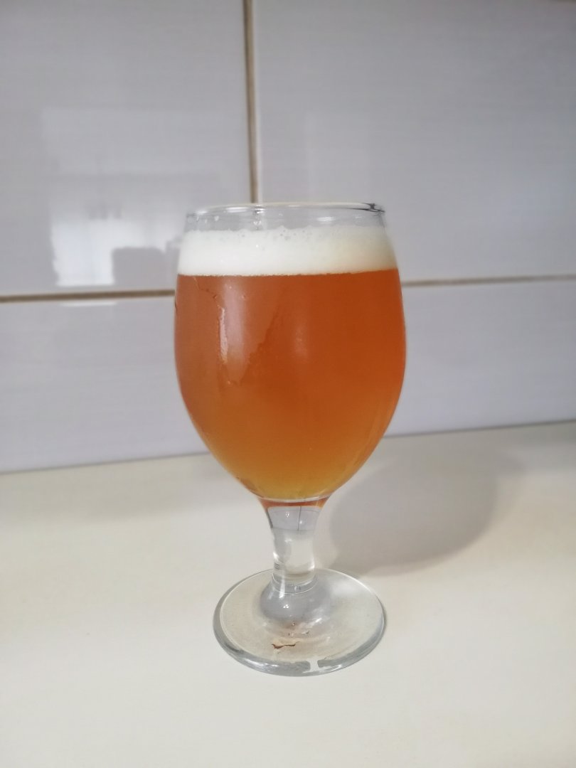 beer recipe photo