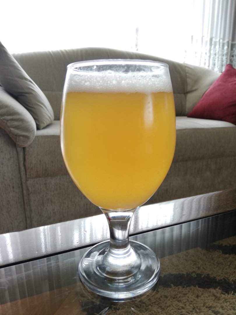 beer recipe photo