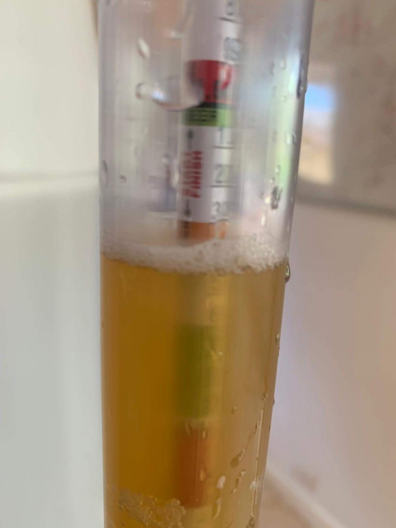 beer recipe photo